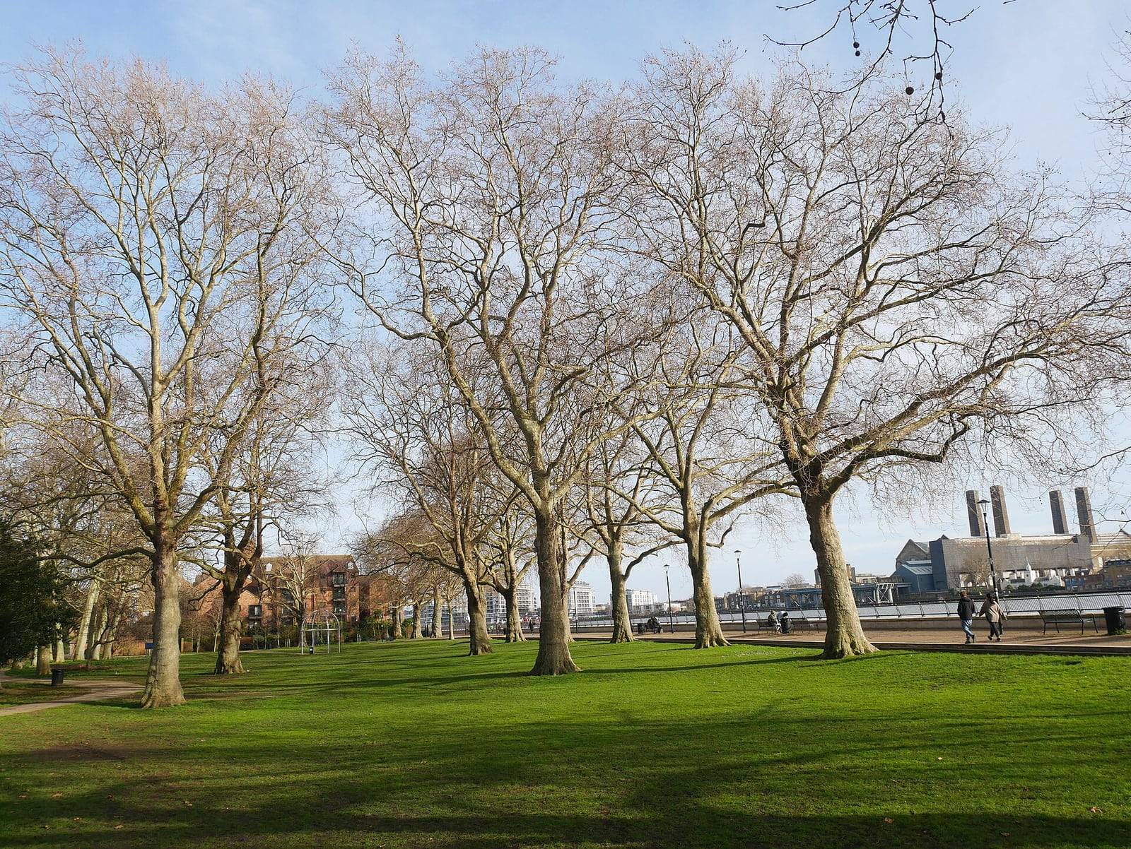 Island Gardens in Cubitt Town on the Isle of Dogs, a neighbourhood of family homes we move to Italy